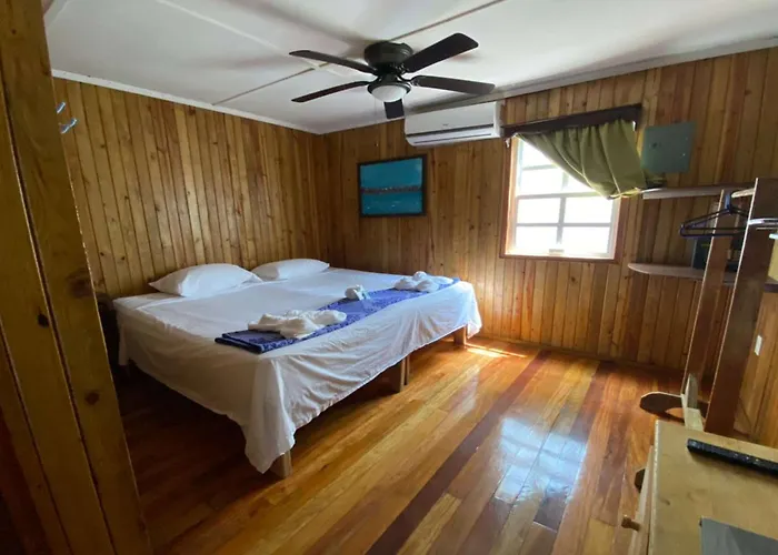 Hostel Pedro's &