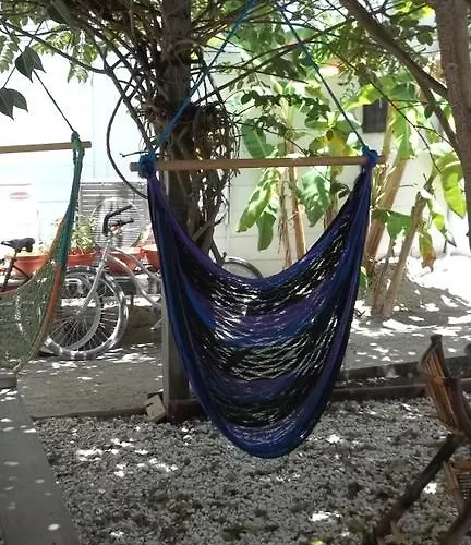 Hostel Pedro's & San Pedro (Ambergris Caye)